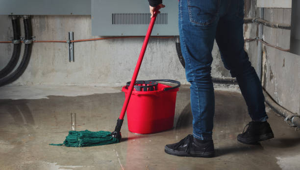 Best Water damage contractors near me  in Flower Mound, TX