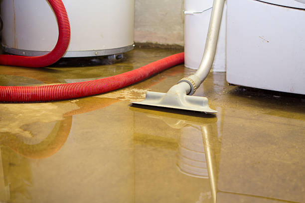 Best Sewage cleanup and water damage restoration  in Flower Mound, TX