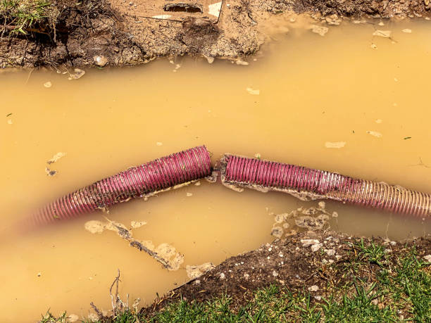 Best Fire Damage Restoration  in Flower Mound, TX