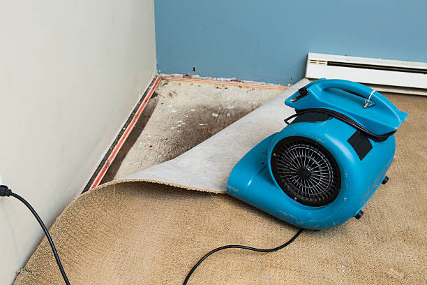 Best Emergency water damage restoration  in Flower Mound, TX